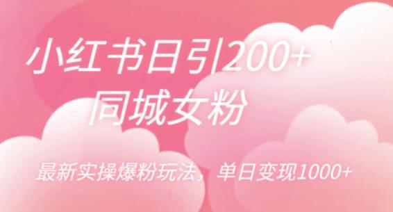 小红书日引200+同城女粉，最新实操爆粉玩法，单日变现1000+【揭秘】-摸金项目网