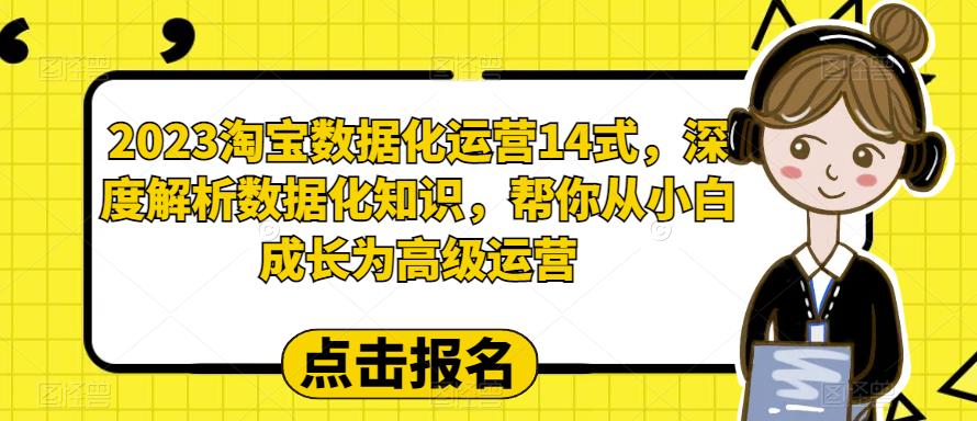 2023淘宝数据化运营14式，深度解析数据化知识，帮你从小白成长为高级运营-摸金项目网