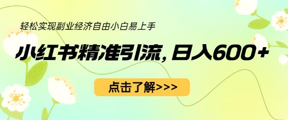 小红书精准引流，小白日入600+，轻松实现副业经济自由（教程+1153G资源）-摸金项目网