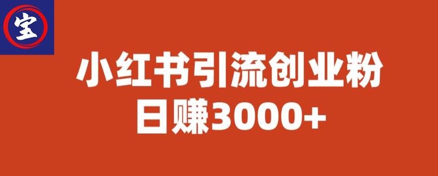 宝哥小红书引流创业粉，日赚3000+【揭秘】-摸金项目网
