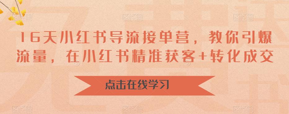 16天小红书导流接单营，教你引爆流量，在小红书精准获客+转化成交-摸金项目网