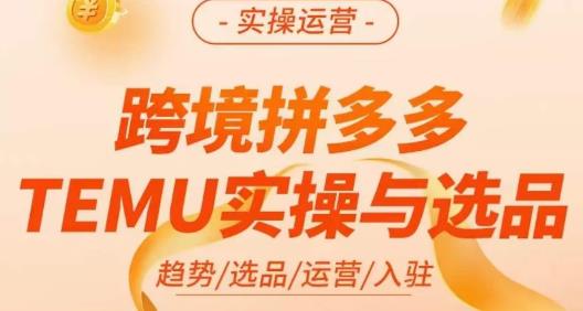 伍跃·跨境拼多多TEMU实操与选品，​趋势/选品/运营/入住（27节完整）-摸金项目网