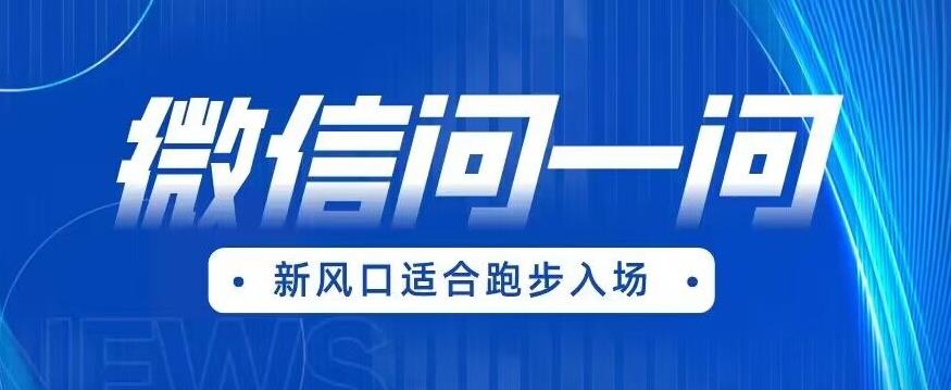 全网首发微信问一问新风口变现项目（价值1999元）【揭秘】-摸金项目网