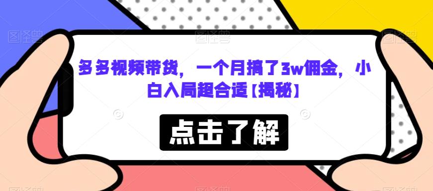 多多视频带货，一个月搞了3w佣金，小白入局超合适【揭秘】-摸金项目网