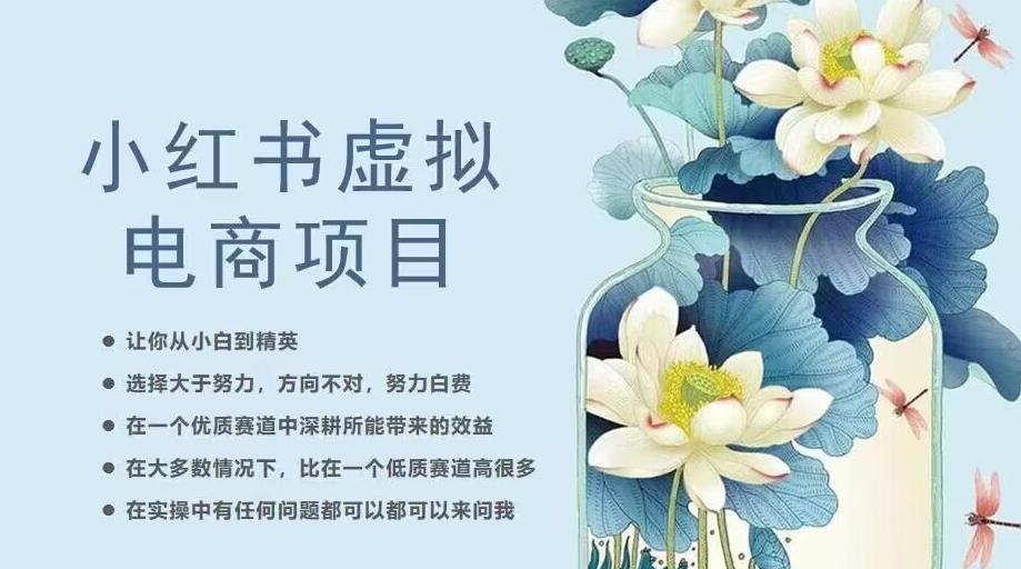 小红书虚拟电商从0到1，让你从小白到精英（20节实操课程）-摸金项目网