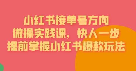 接单号方向·小红书微操实践课，快人一步，提前掌握小红书爆款玩法-摸金项目网