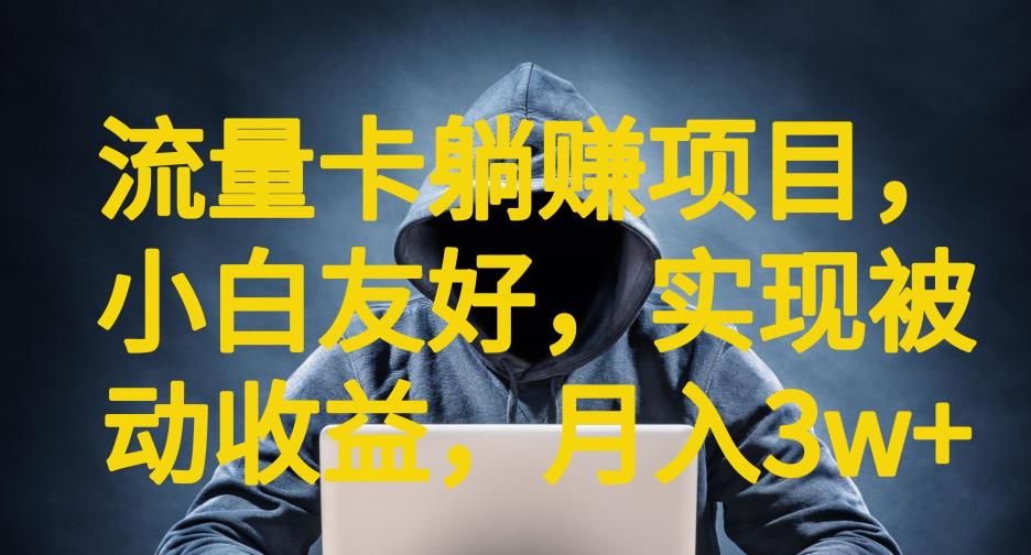流量卡躺赚项目，小白友好，开设后台，实现被动收益，只要出卡，就能一直赚钱，利润高昂【揭秘】-摸金项目网