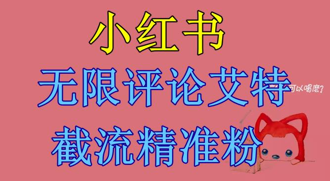 小红书无限评论艾特截流精准粉（软件+教程）-摸金项目网