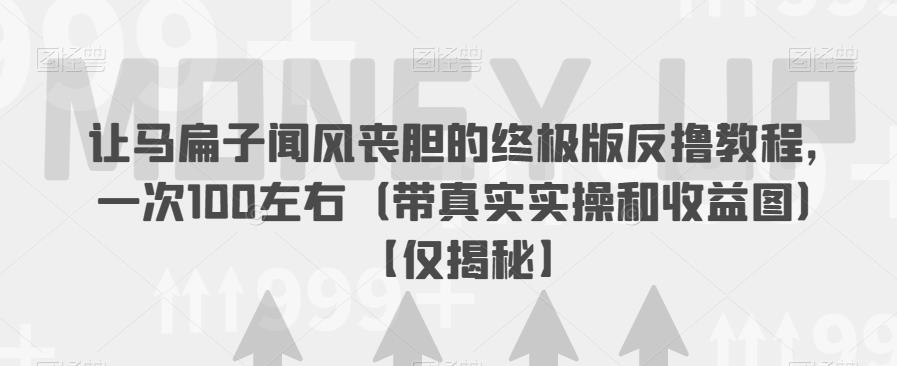 让马扁子闻风丧胆的终极版反撸教程，一次100左右（带真实实操和收益图）【仅揭秘】-摸金项目网