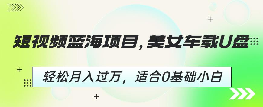 短视频蓝海项目，美女车载U盘，轻松月入过万，适合0基础小白【揭秘】-摸金项目网