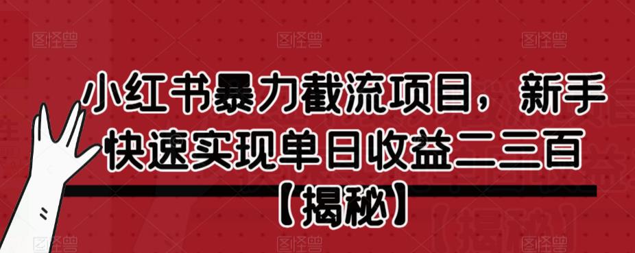 小红书暴力截流项目，新手快速实现单日收益二三百【仅揭秘】-摸金项目网