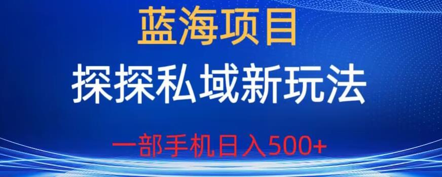 蓝海项目，探探私域新玩法，一部手机日入500+很轻松【揭秘】-摸金项目网