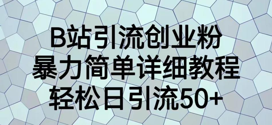 B站引流创业粉，暴力简单详细教程，轻松日引流50+【揭秘】-摸金项目网