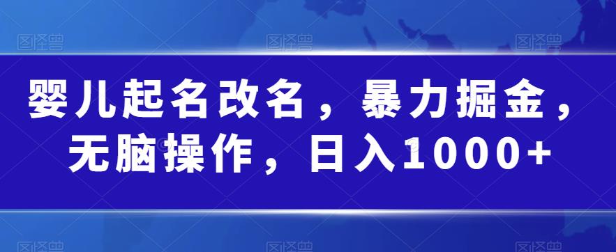 婴儿起名改名，暴力掘金，无脑操作，日入1000+【揭秘】-摸金项目网