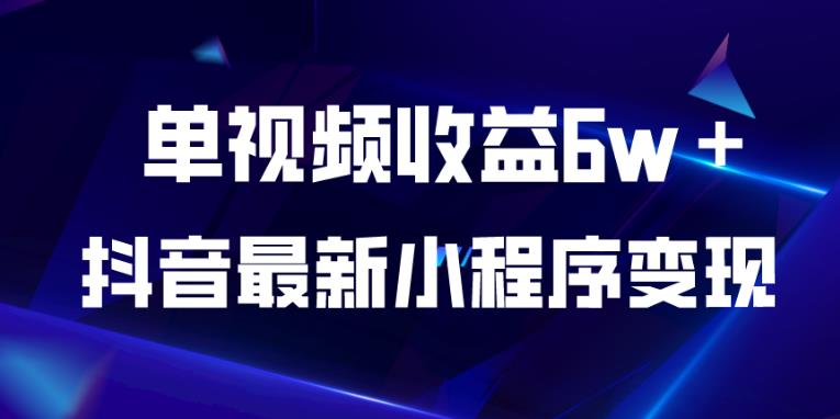 抖音最新小程序变现项目，单视频收益6w＋，小白可做【揭秘】-摸金项目网