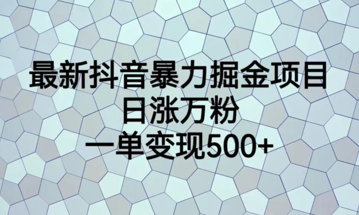 最新抖音暴力掘金项目，日涨万粉，一单变现500+【揭秘】-摸金项目网