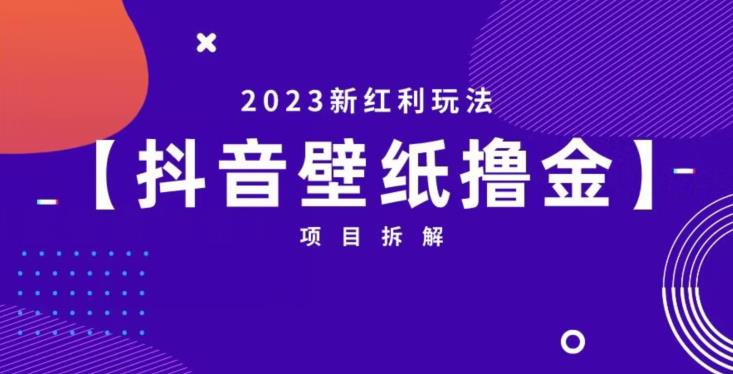 抖音壁纸小程序创作者撸金项目，2023新红利玩法【项目拆解】-摸金项目网