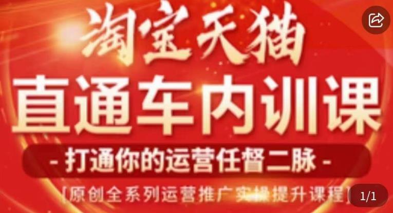 天问电商·2023淘宝天猫直通车内训课，零基础学起直通车运营实操课程-摸金项目网
