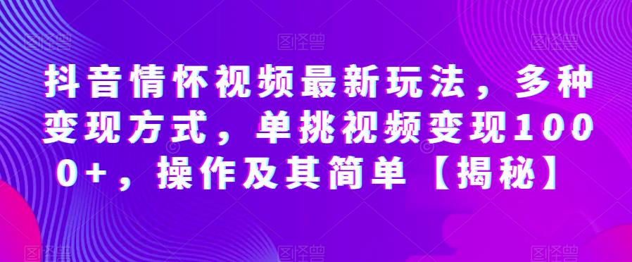 抖音情怀视频最新玩法，多种变现方式，单挑视频变现1000+，操作及其简单【揭秘】-摸金项目网