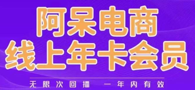 阿呆电商线上年会员，阿呆电商干货分享（更新中）-摸金项目网