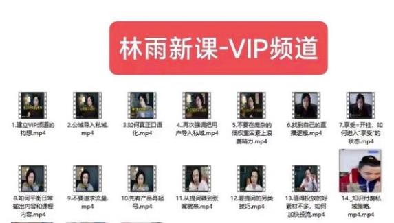 林雨新课VIP频道，玩赚私域/朋友圈/社群-摸金项目网
