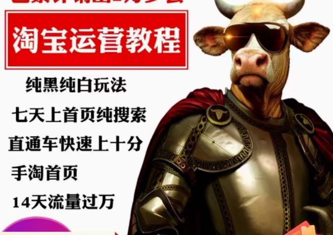 猫老师·淘系算法逆向解密，​纯黑纯白玩法，七天上首页纯搜索，手淘首页14天流量过万-摸金项目网