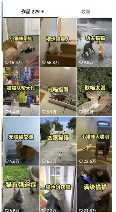 拆解抖音盘点类中视频变现副业项目，视频版一条龙大解析分享给你【视频课程】-摸金项目网