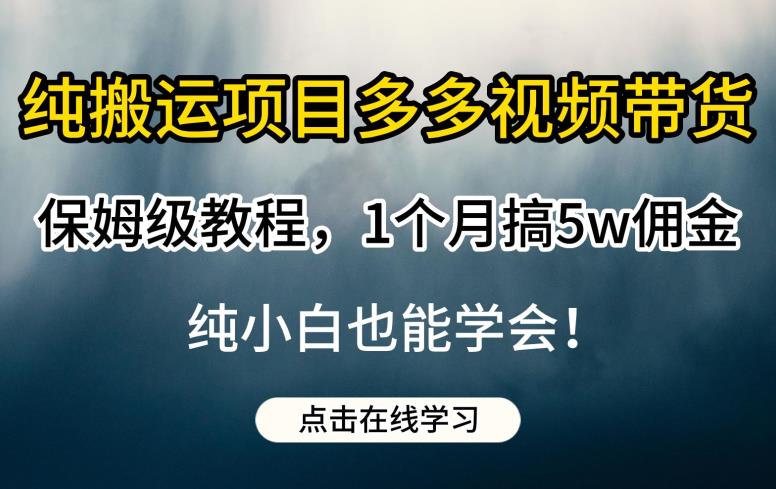 纯搬运项目多多视频带货保姆级教程，1个月搞5w佣金，纯小白也能学会【揭秘】-摸金项目网