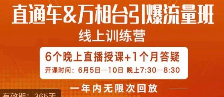 直通车&万相台引爆流量班，6天打通你开直通车·万相台的任督二脉-摸金项目网
