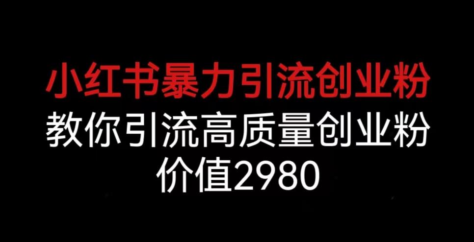 小红书暴力引流创业粉，教你引流高质量创业粉，价值2980【揭秘】-摸金项目网