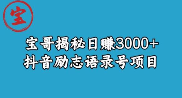 宝哥揭秘日赚3000+抖音励志语录号短视频变现项目-摸金项目网