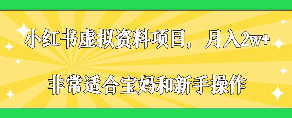 小红书虚拟资料项目，月入2w+，非常适合宝妈和新手操作【揭秘】-摸金项目网