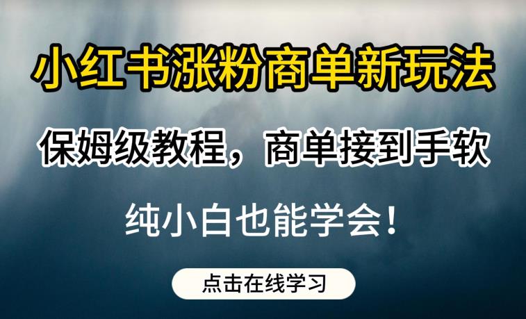 小红书涨粉商单新玩法，保姆级教程，商单接到手软，纯小白也能学会【揭秘】-摸金项目网