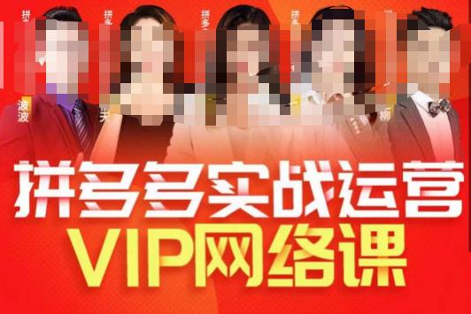 推易拼多多VIP全套直播课程，拼多多店铺实操玩法+实战玩法选款内功+直通车高阶等-摸金项目网