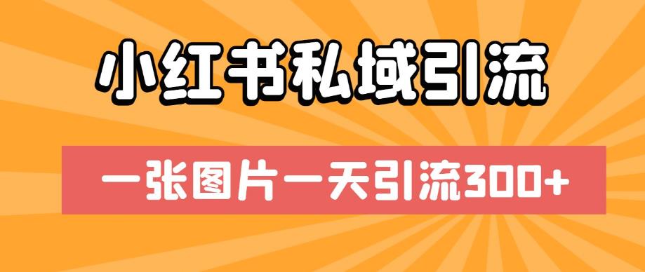 小红书私域引流，一张图片一天引流300+【揭秘】-摸金项目网