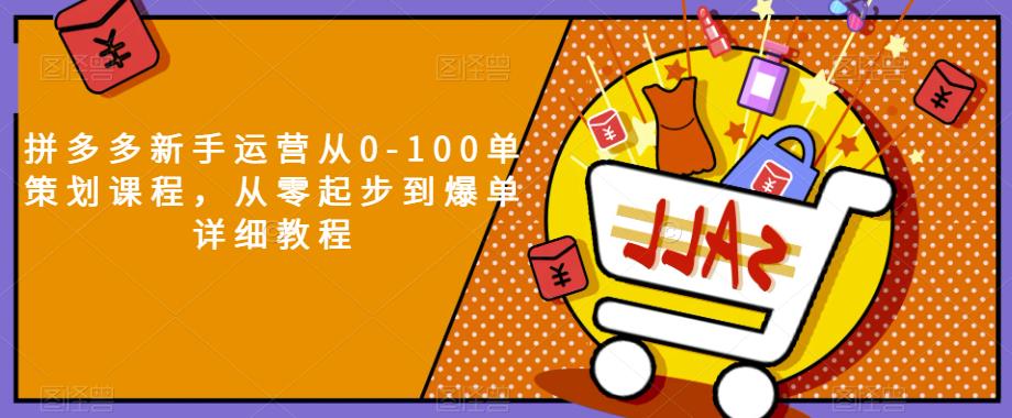 拼多多新手运营从0-100单策划课程，从零起步到爆单详细教程-摸金项目网