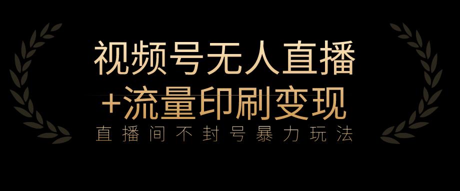 全网首发视频号不封号无人直播暴利玩法+流量印刷机变现，日入1000+【揭秘】-摸金项目网