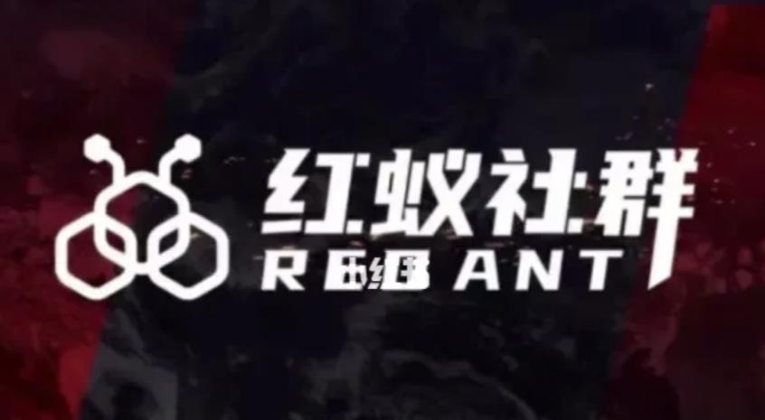 社群运营：红蚁社群【48节落地系统课程+2000人高端社群】-摸金项目网