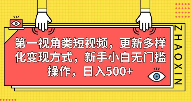 第一视角类短视频，更新多样化变现方式，新手小白无门槛操作，日入500+【揭秘】-摸金项目网