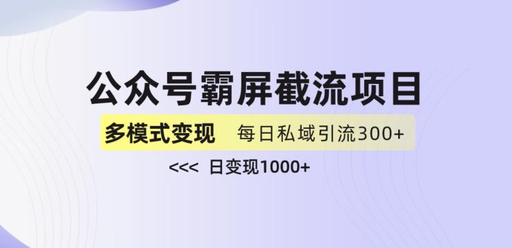 公众号霸屏截流项目+私域多渠道变现玩法，全网首发，日入1000+【揭秘】-摸金项目网