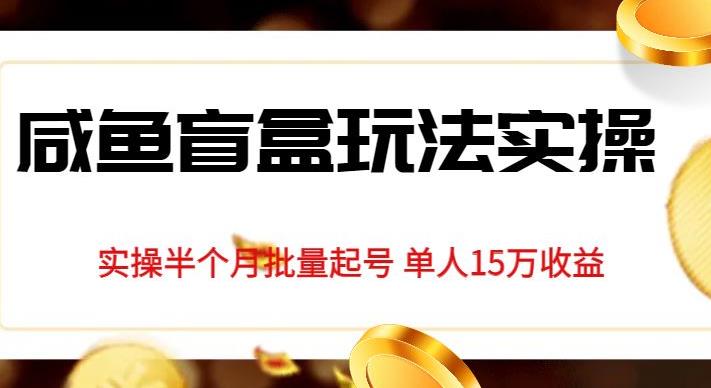 独家首发咸鱼盲盒玩法实操，半个月批量起号单人15万收益【揭秘】-摸金项目网