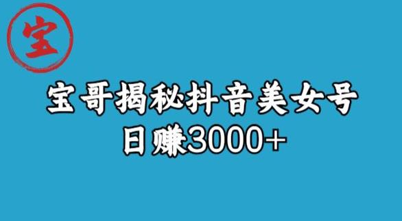 宝哥揭秘抖音美女号玩法，日赚3000+【揭秘】-摸金项目网