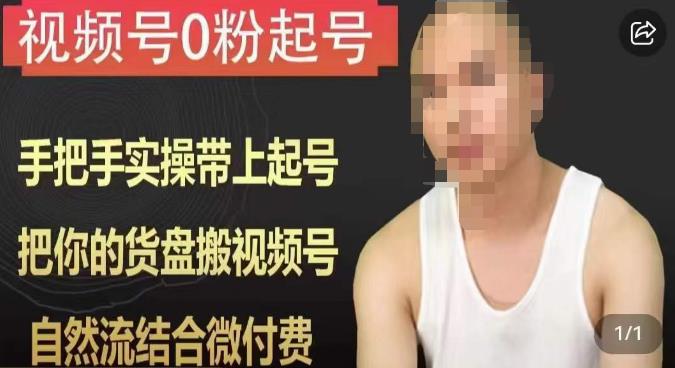 天诺老吴视频号0粉起号课程，手把手实操带上起号，把你的货盘搬视频号，自然流结合微付费-摸金项目网