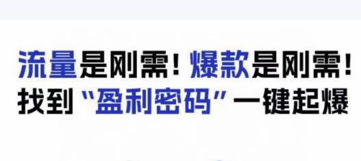 电商盈利精品课：6大盈利密码让产品更好卖，流量是刚需！爆款是刚需！找到”盈利密码”一键起爆-摸金项目网