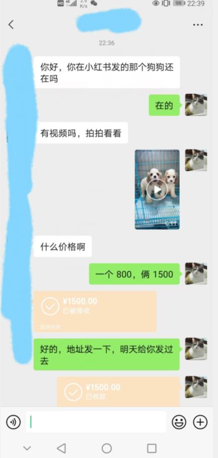 外边收费3980的同城萌宠项目，用最冷门的玩法冲击最热门的市场【揭秘】-摸金项目网