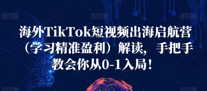 海外TikTok短视频出海启航营（学习精准盈利）解读，手把手教会你从0-1入局！-摸金项目网