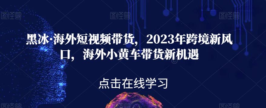 黑冰·海外短视频带货，2023年跨境新风口，海外小黄车带货新机遇-摸金项目网