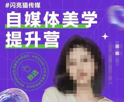 自媒体美学提升营，手把手带你提升品牌审美，做一个有调性的博主-摸金项目网
