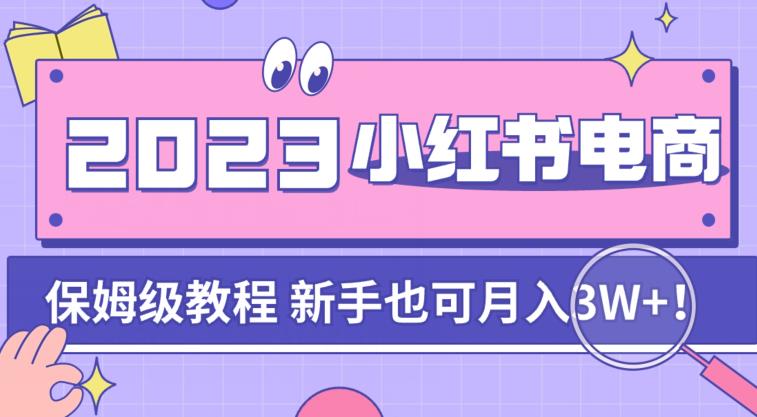阿本小红书电商陪跑营4.0，带大家从0到1把小红书做起来-摸金项目网