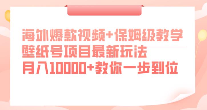 海外爆款视频+保姆级教学，壁纸号项目最新玩法，月入10000+教你一步到位【揭秘】-摸金项目网